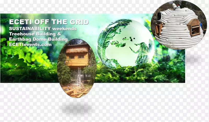 ��Ȼ�����ɳ����Ի�����ѧ����������Ȼ����-������