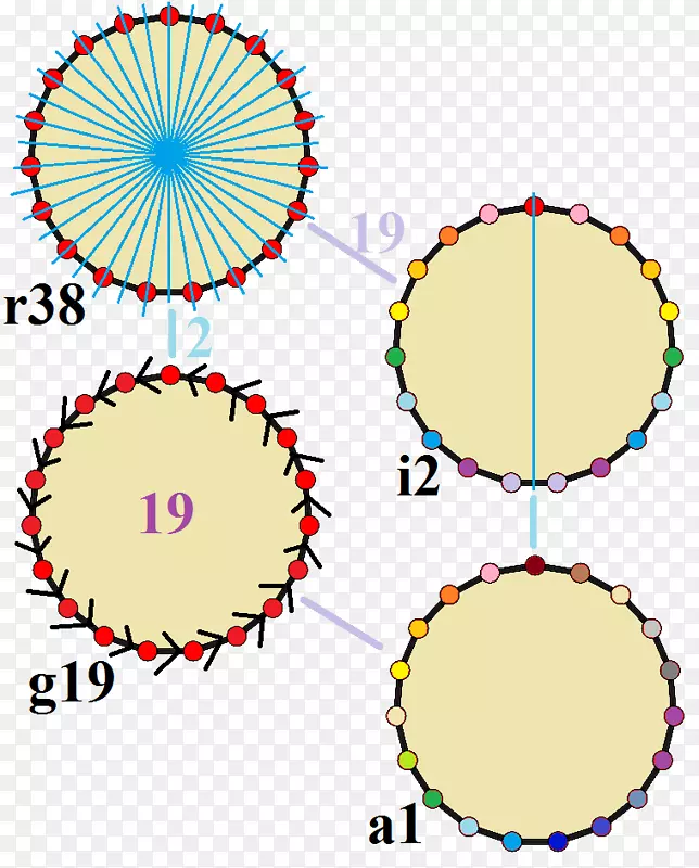 ��ӳ���ʮ�ǶԳ�Ⱥ-������