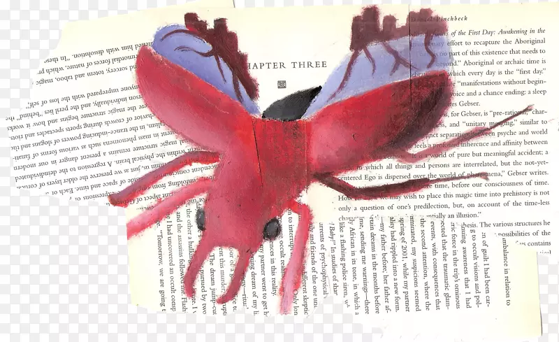 ���洫����-����-������