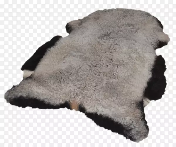 ����ëƤ-������-������