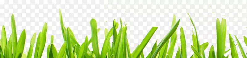 ��-������