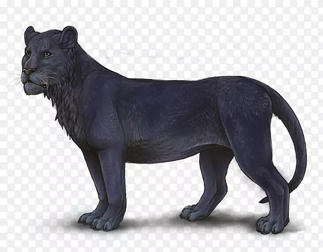 ��è½����������ʨҰ������-è-������