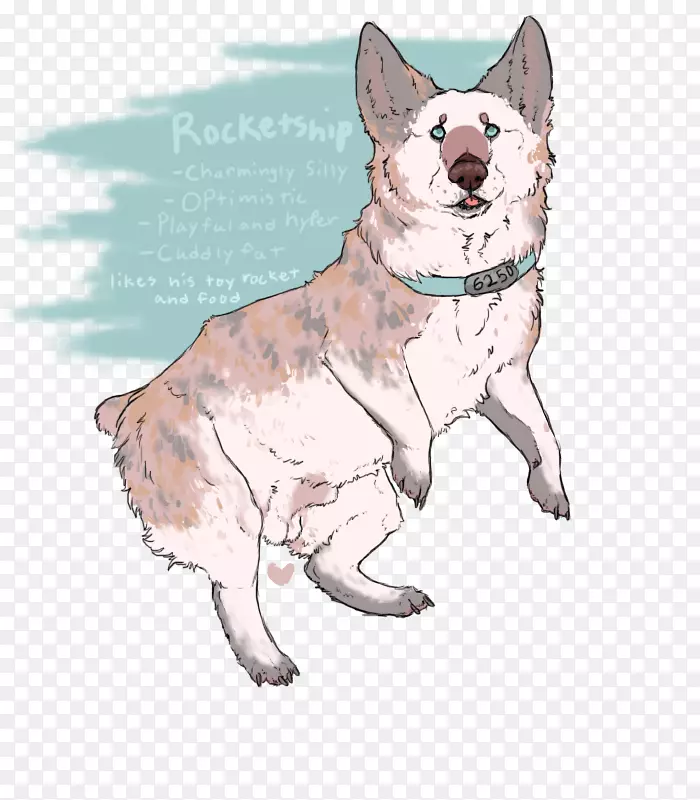 Ȯ�ְ���ţ����-������