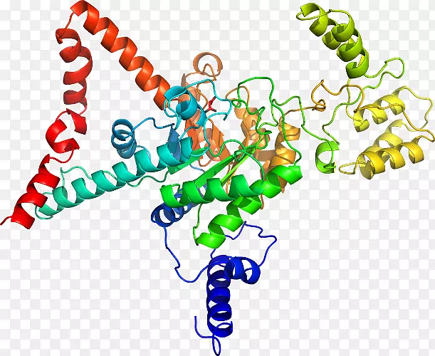 ������Ϊ���л�����������-������