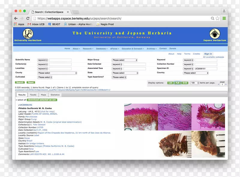 ��ҳ��ͼ��ý������-��ά��-������