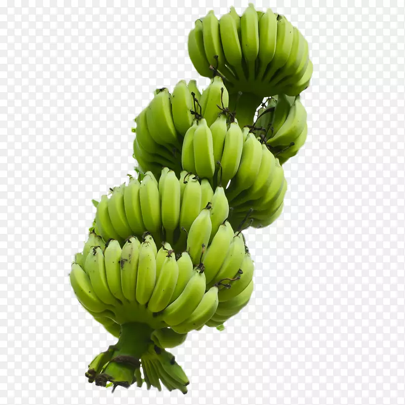 ���㽶ʳƷŮʿ��ָ�㽶�����㽶-������