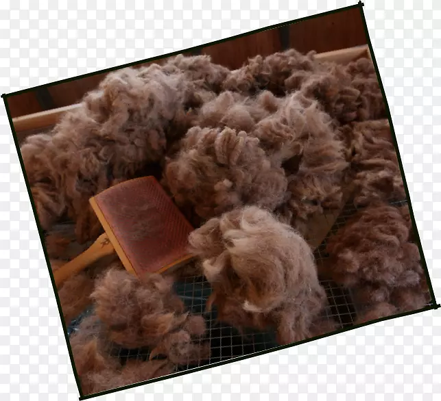 ȮëȮ���ӽ�Ȯ-������