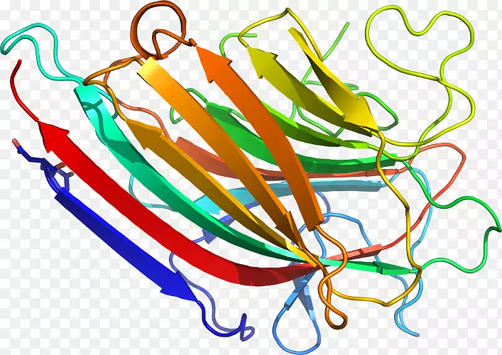 �ߵ������������-������