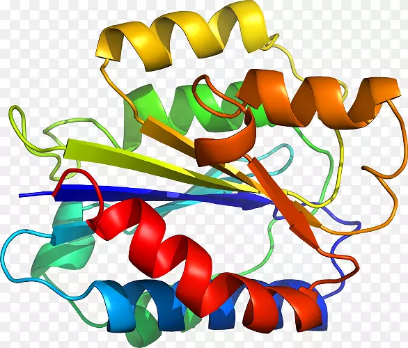 �߲��߼�����-�߲�-������