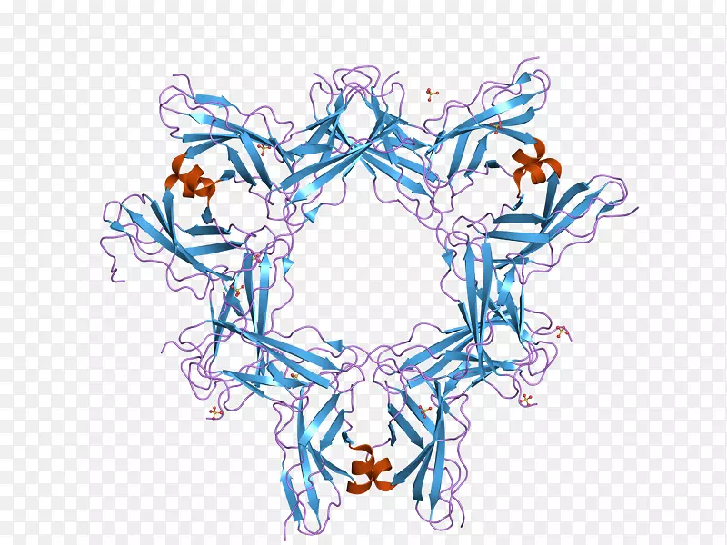 ƽ����Ƽ�����.���-������