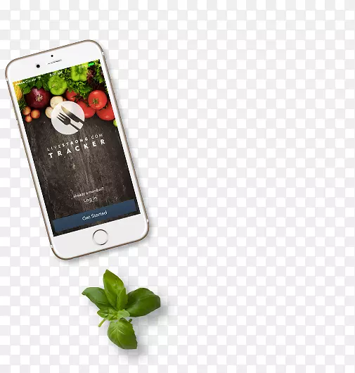 �ֻ����iPhone�ֻ�-iPhone-������