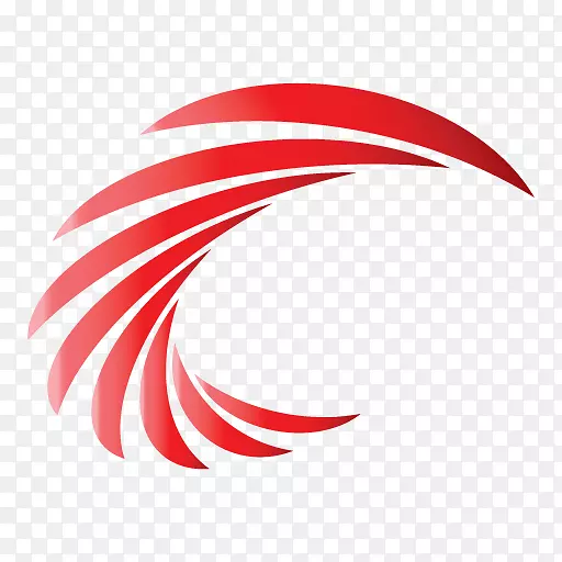 �ձ���������-������