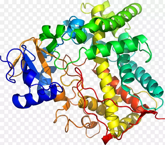 ���������л����߼�������-������