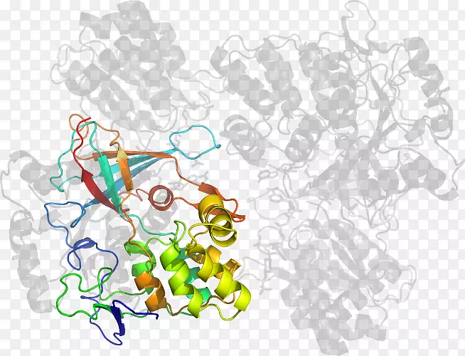 ��ľ������-��-������