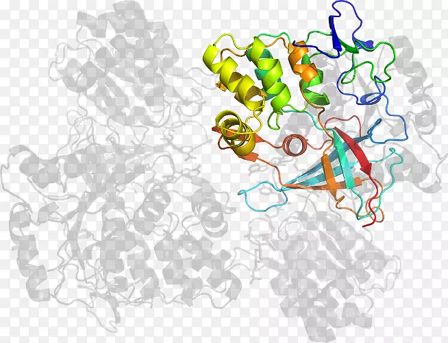 ƽ����ƿ�ͨƬ�������-������