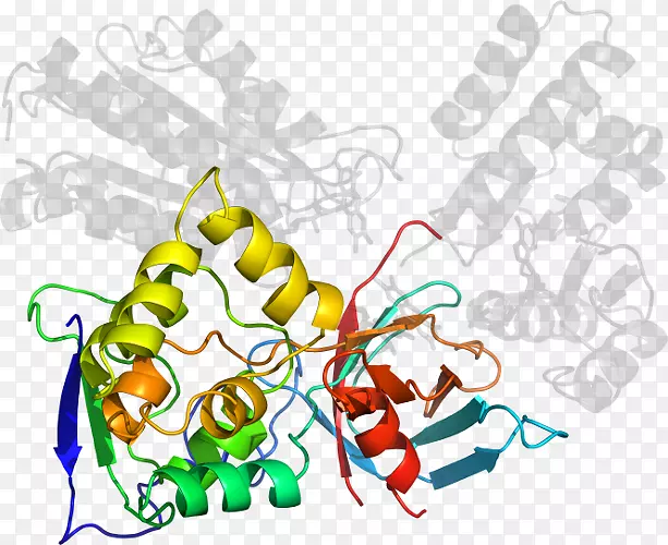 ����ƽ����Ƶ��������-������