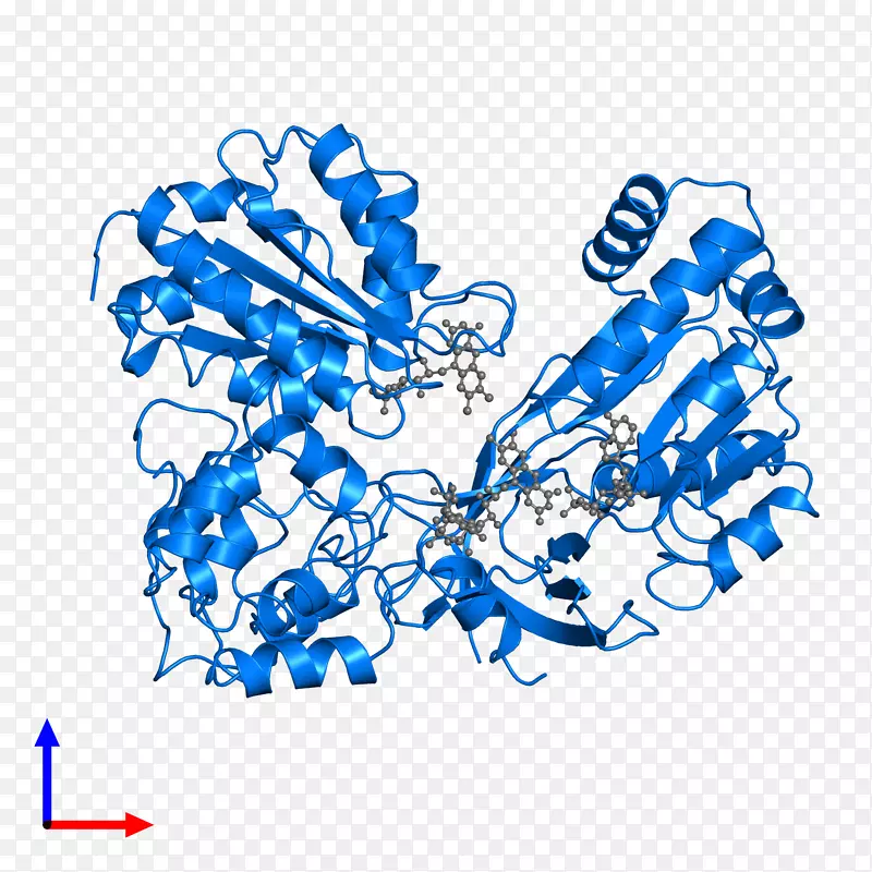 �ߵ������������-������