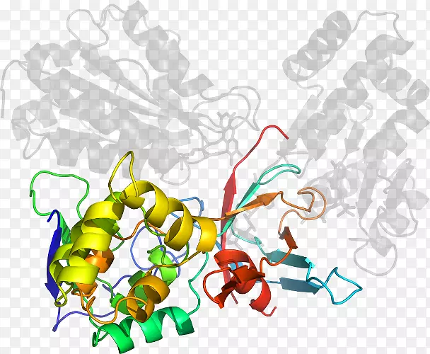 ����ͼ����ƿ�ͨ����������-������