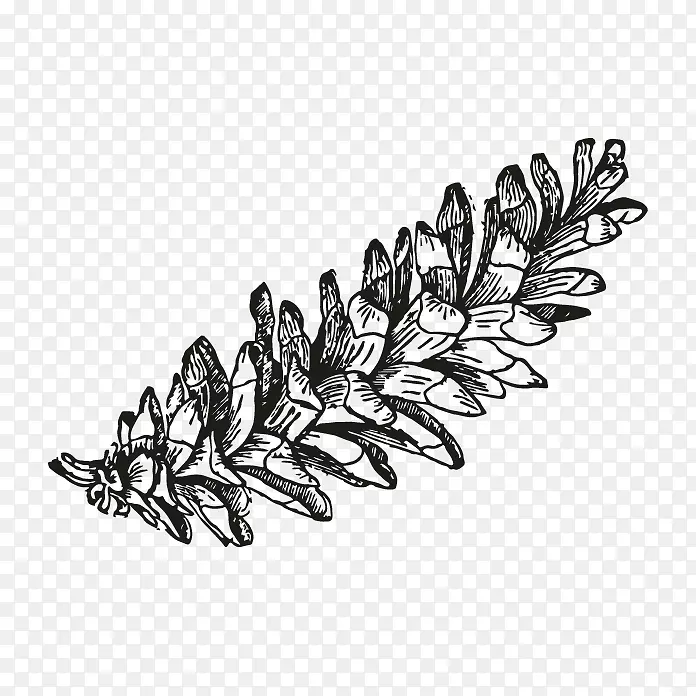 ��ľ��������/m/02csf h&m-tree-������