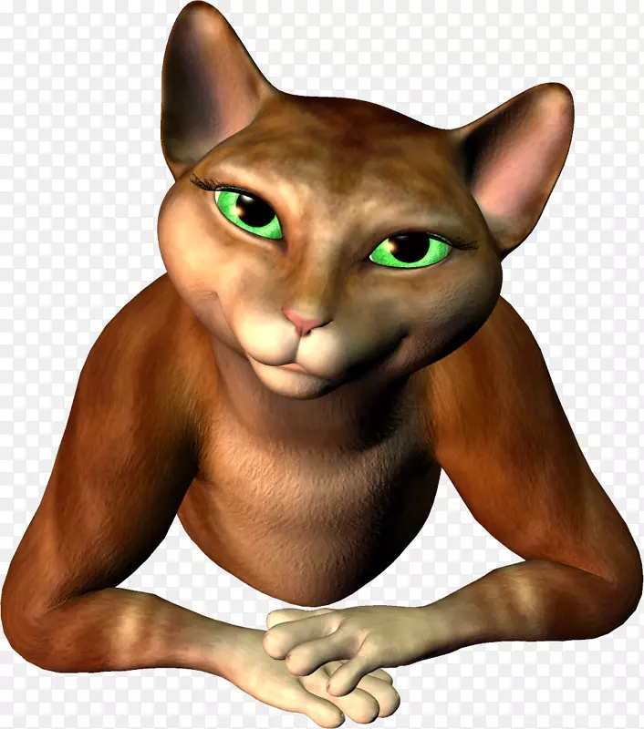 �����������ɫСè�Ҷ�ëè����Сè-������