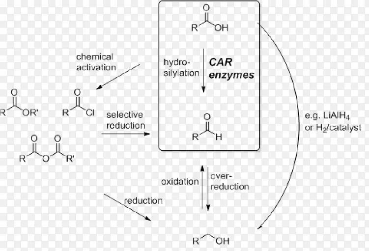 �ļ��׵����-������