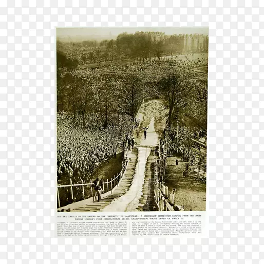 ��Ӱ������-������