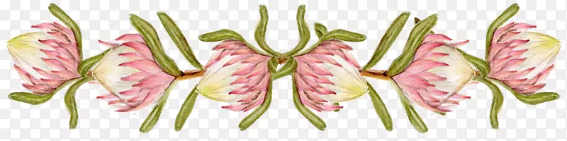 �������-����װ��-������