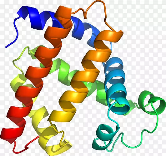 �����鱦���л����������-������