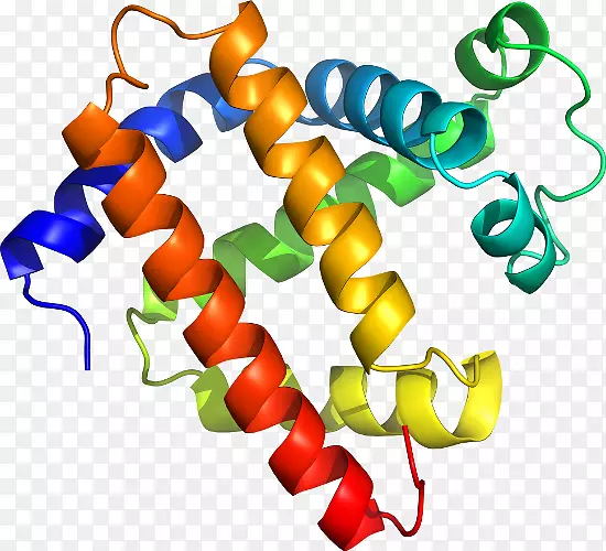 �����鱦���л����������-������