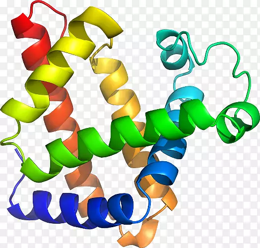 �����鱦�߼�������-������