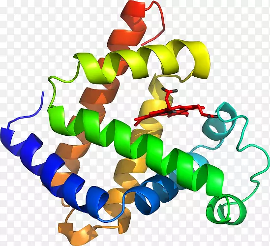 ���������л����߼�������-������