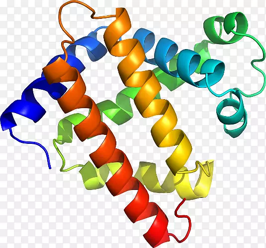 �����鱦���л����������-������