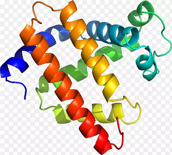 �����鱦���л����������-������