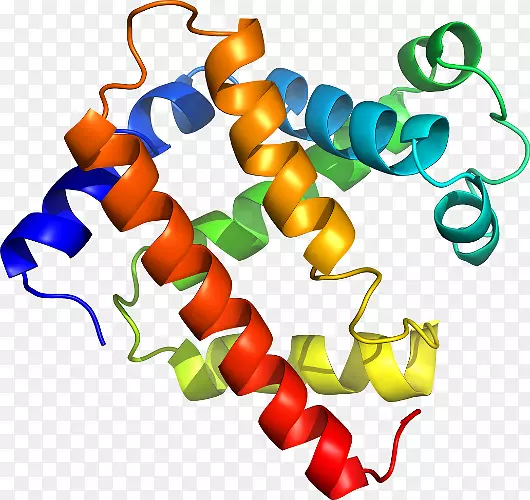 �����鱦���л����������-������