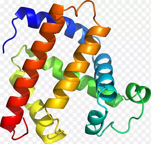 �����鱦Ь�߼�������-������