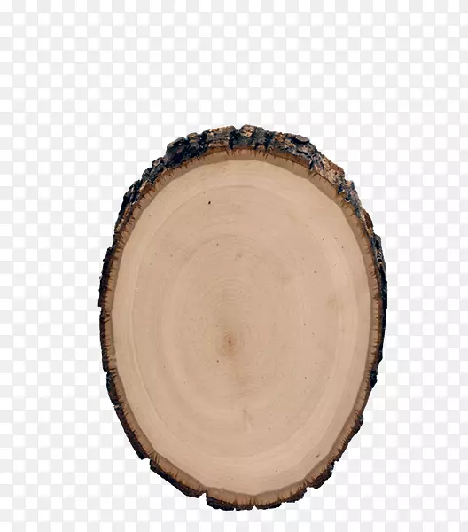 ����ľ��-������