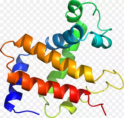 �ߵ������-��-������