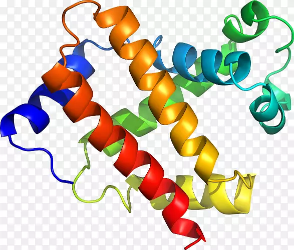 �ߵ������������-������