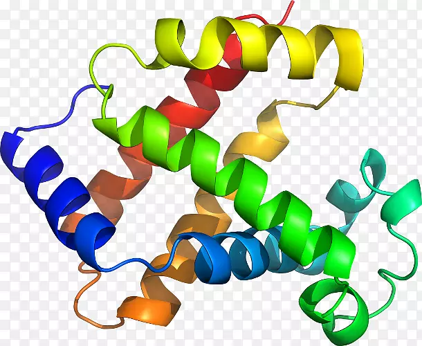 �����鱦������.���-������