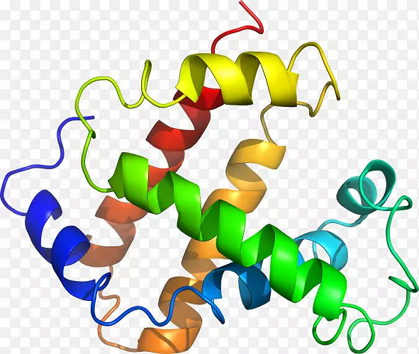 �ߵ������������-������