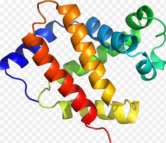 �ߵ������������-������