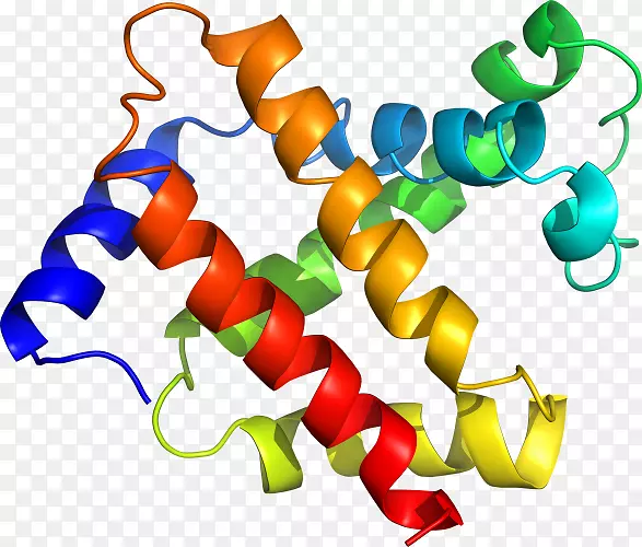 �ߵ������������-������