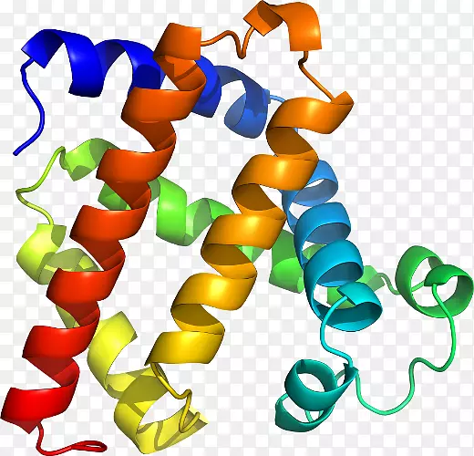 �����鱦���л����������-������