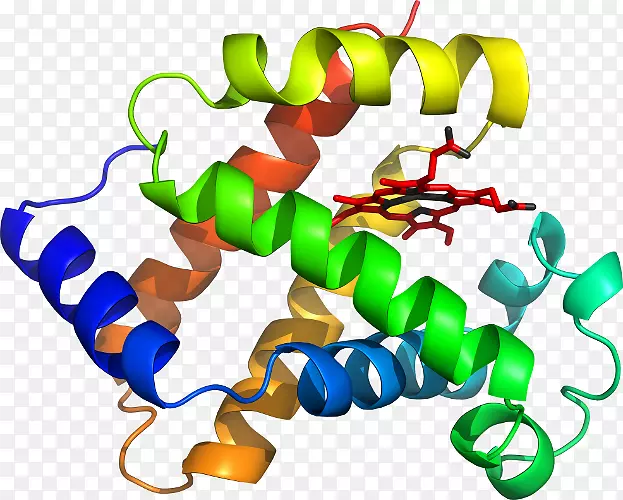 �����鱦���л����������-������