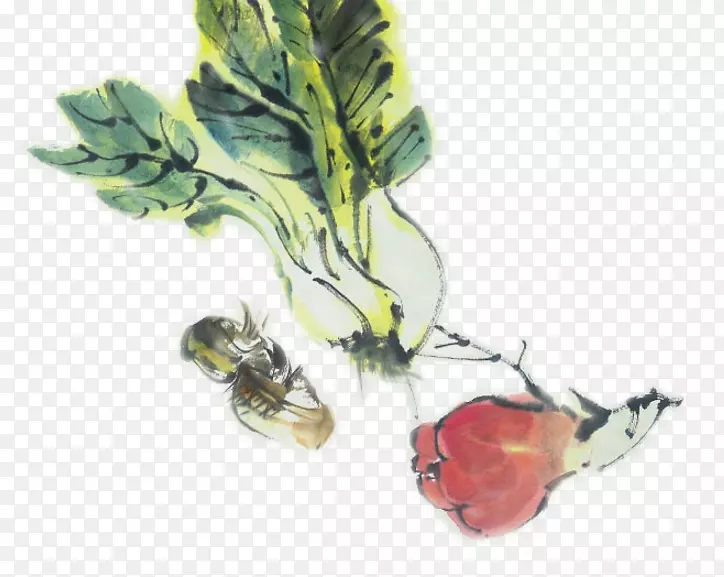 ���Ĳ�ˮ�ʻ�ֲ��.��ͨˮ�ʾ��Ĳ�-������