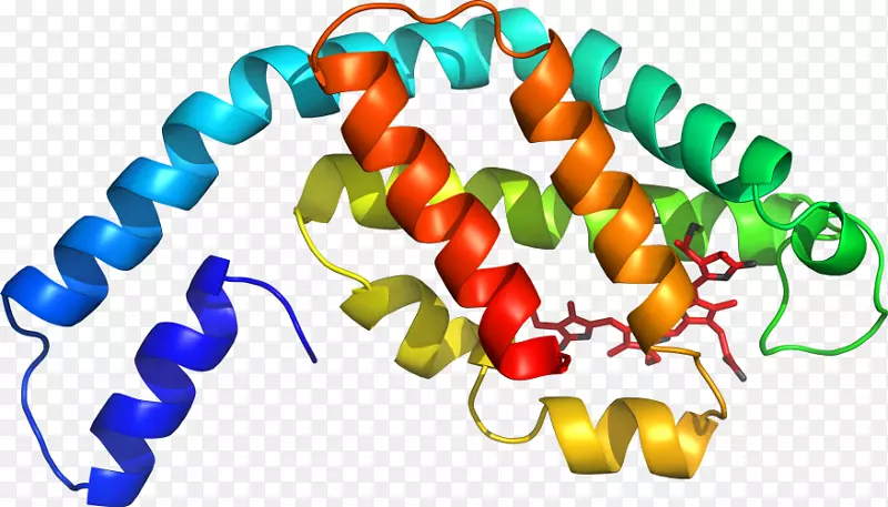 ʳƷ������-������