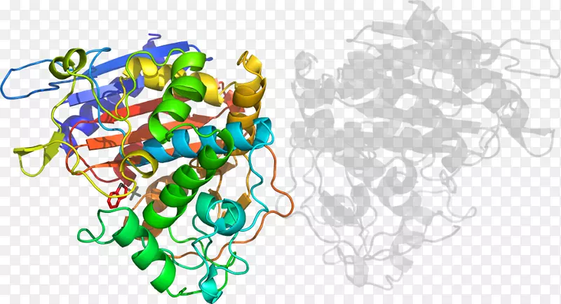 ���߼�����-��-������