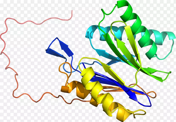 ֲ�ﾥ�߲��߼�����-�߲�-������