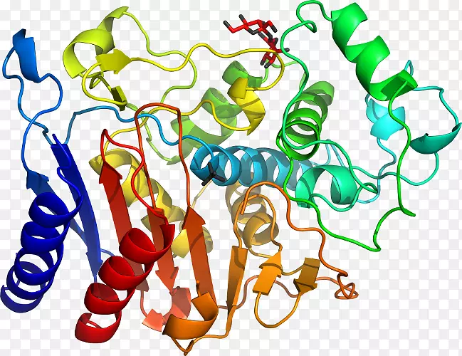 ���߼�����-��-������