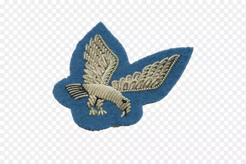 �����ڹ۲�Ա-������